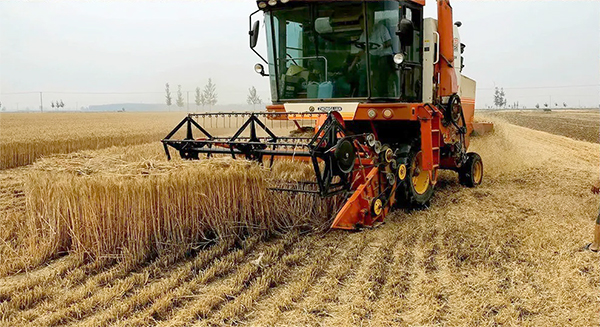 收割机专业服务团队