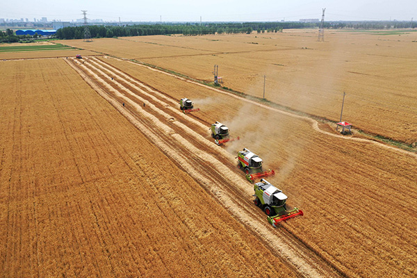 收割机专业服务团队