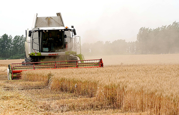 收割机专业服务团队