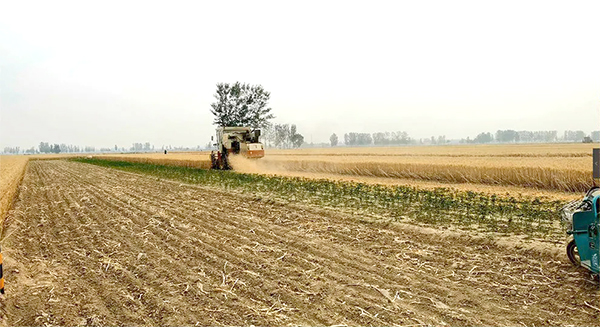 收割机专业服务团队